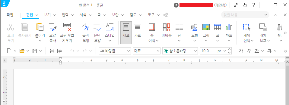 등록 중에 자동으로 열린 한글의 빈 문서 화면.